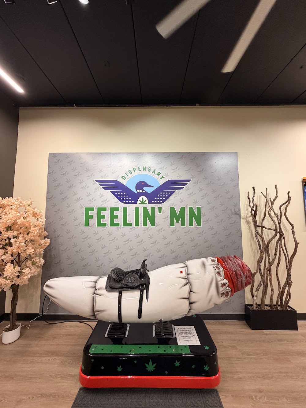 Feelin Mn photo 1