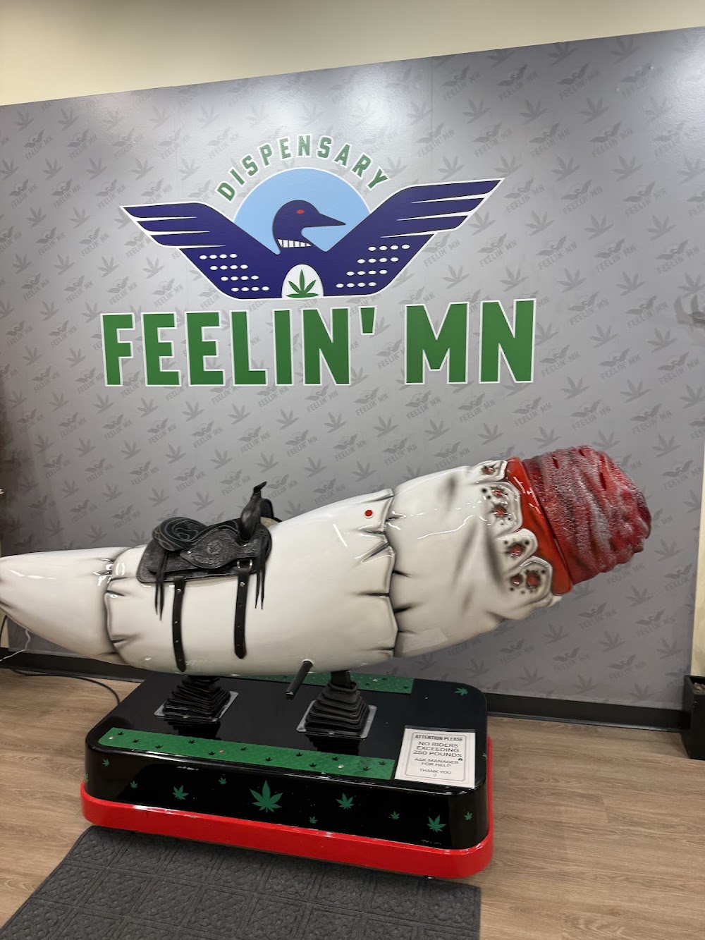 Feelin Mn photo 3
