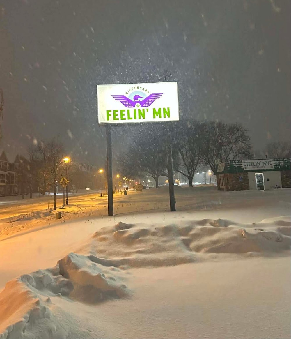 Feelin Mn photo 4