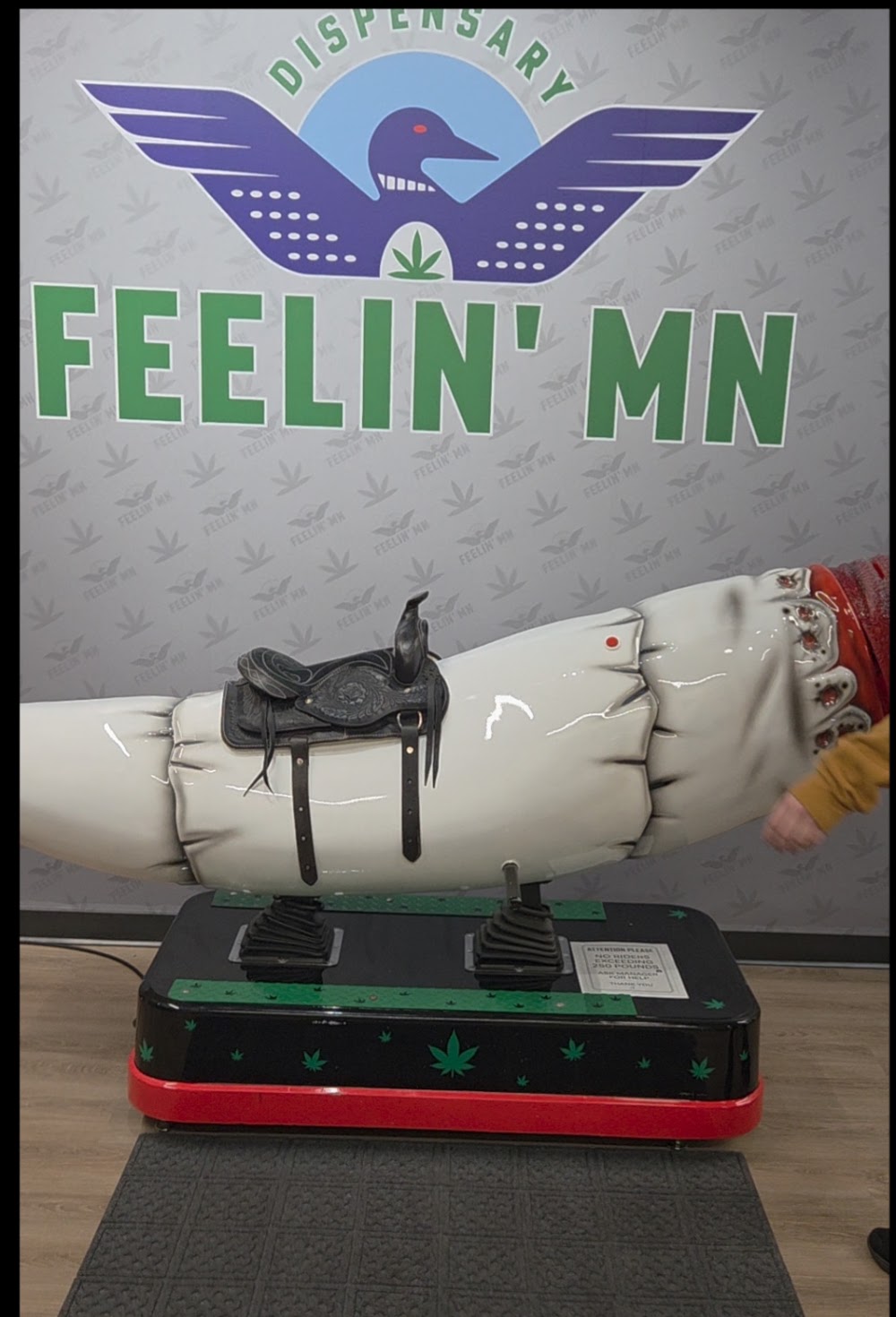Feelin Mn photo 5