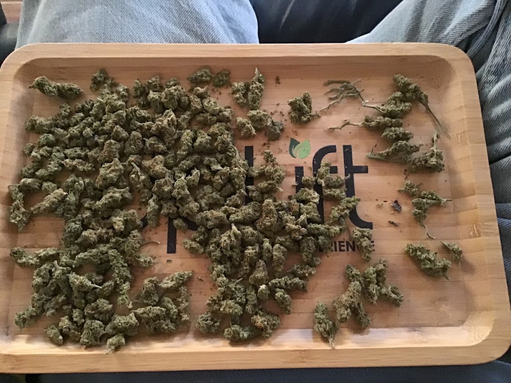 Firelands Scientific Dispensary photo 5