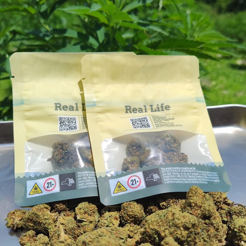 Fireleaf photo 8