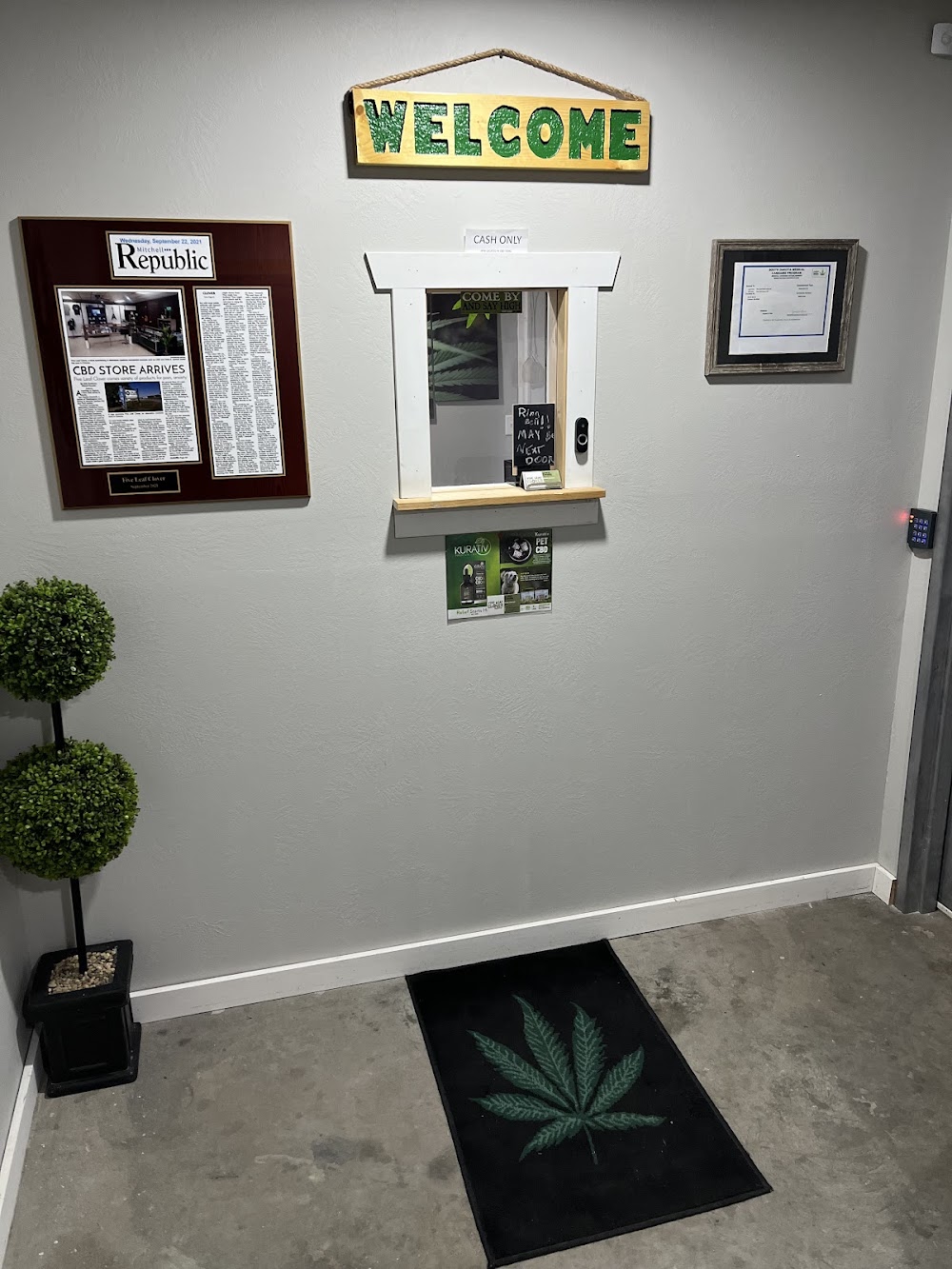 Five Leaf Clover 4.20 photo 1