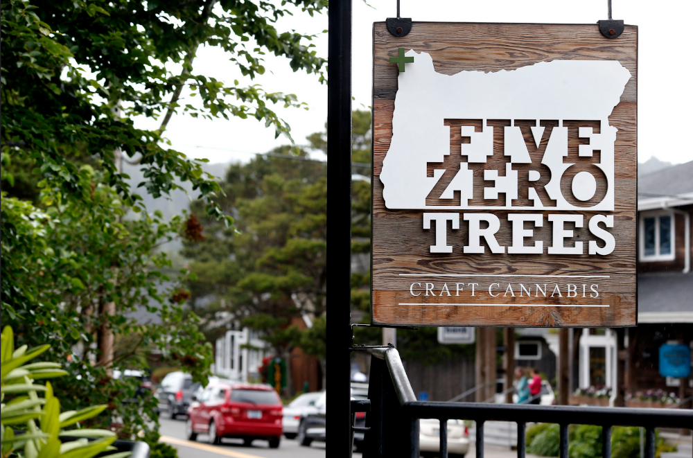 Five Zero Trees Cannon Beach photo 1