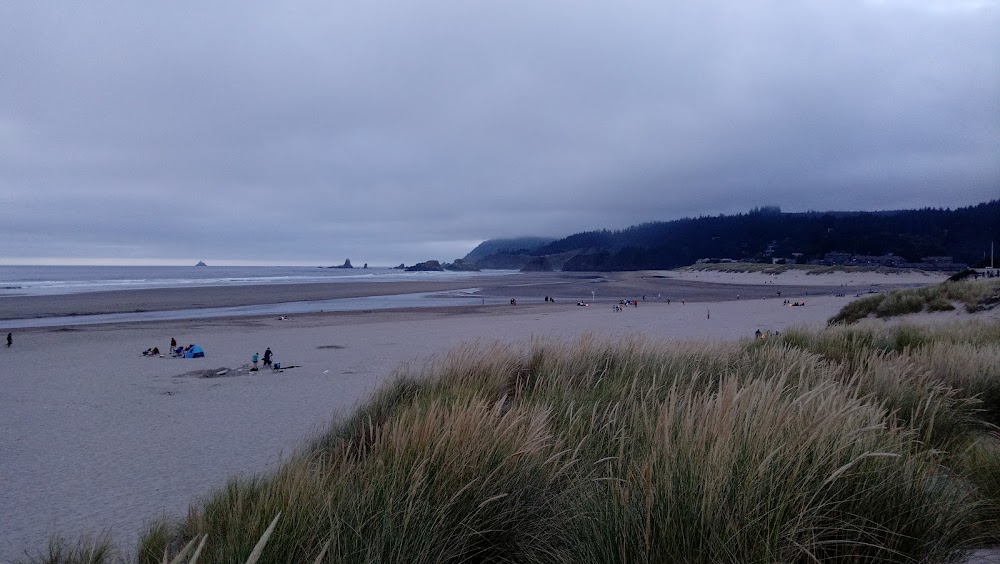 Five Zero Trees Cannon Beach photo 5