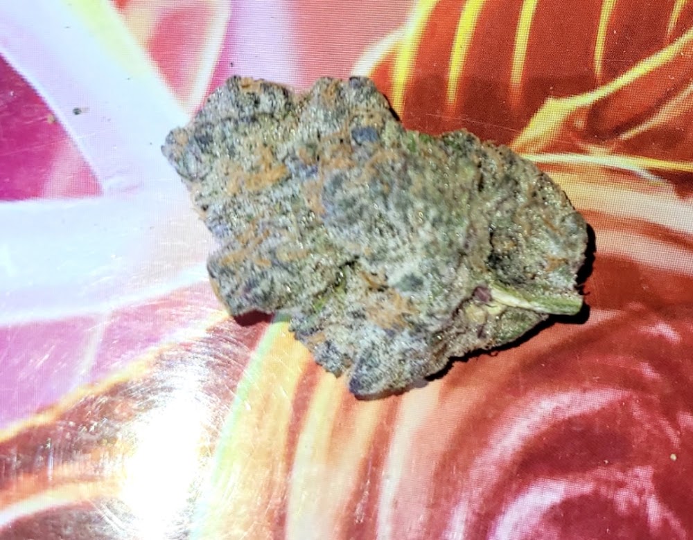Flora Farms photo 5