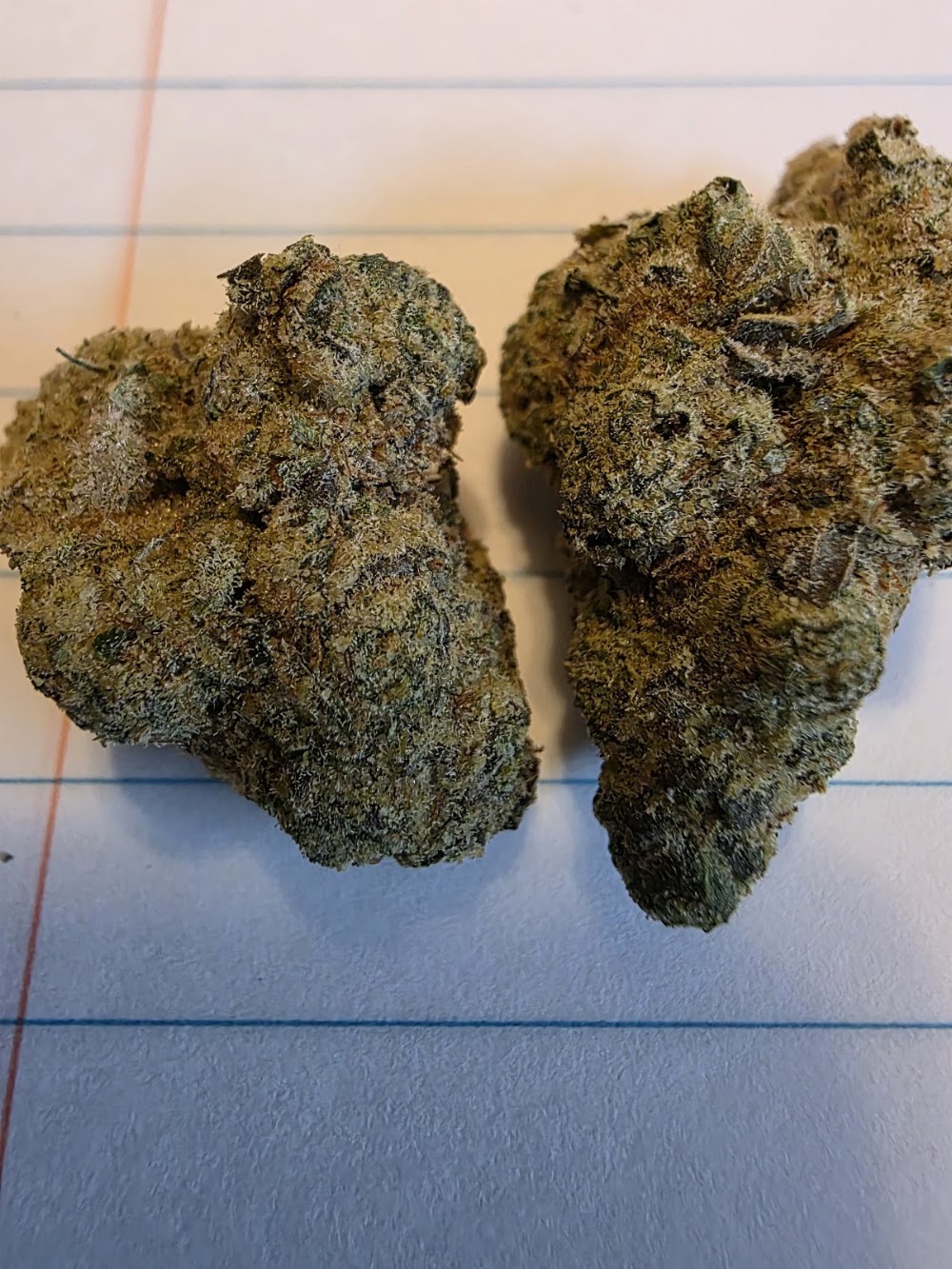 Flora Farms photo 6