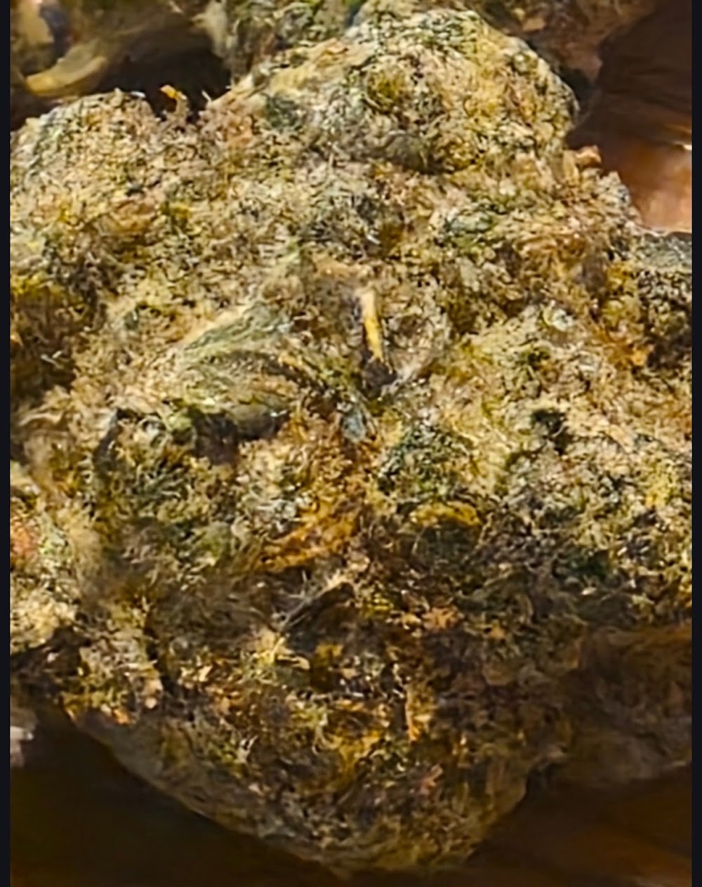 Flora Farms photo 8