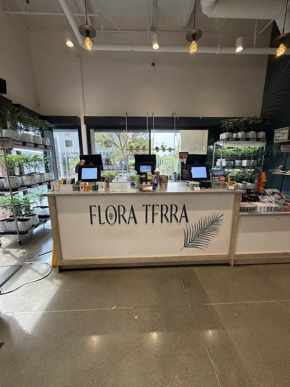 Flora Terra photo 6
