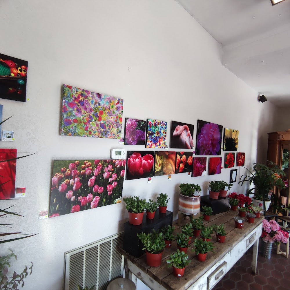 Flower photo 6