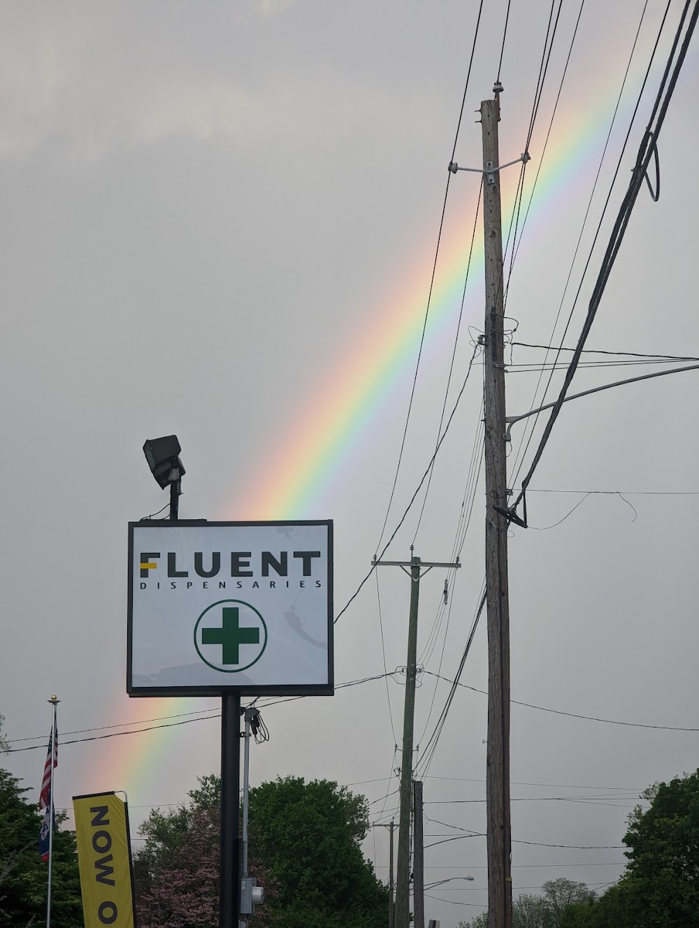 Fluent Dispensary photo 8
