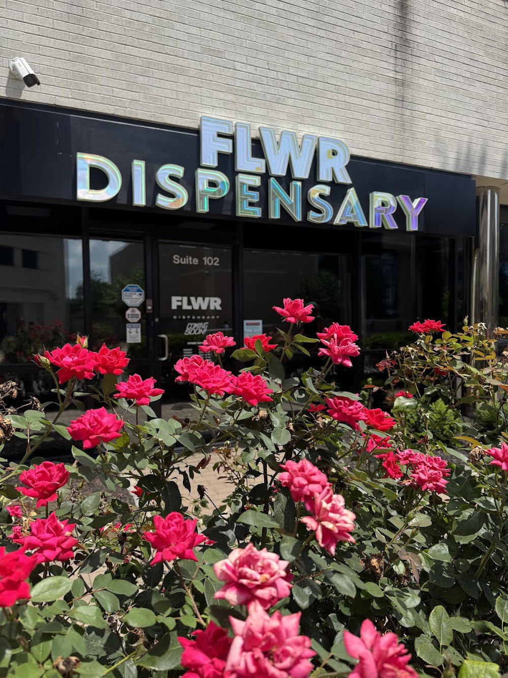 Flwr photo 3