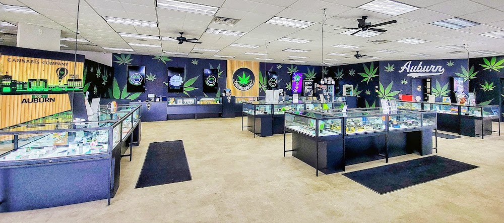 Flynnstoned Cannabis Company photo 2