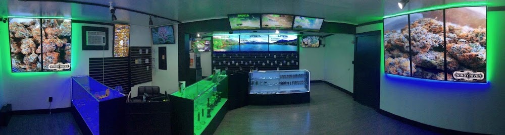 Forbidden Cannabis Club photo 2