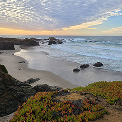 Fort Bragg Main photo 4