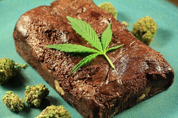 Forward Cannabis photo 2