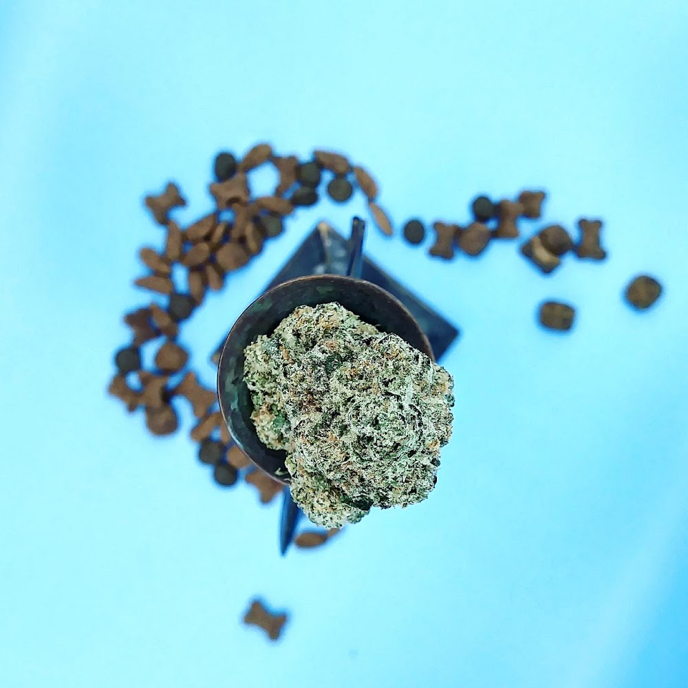 Four Seasons Dispensary And Resource Center photo 4