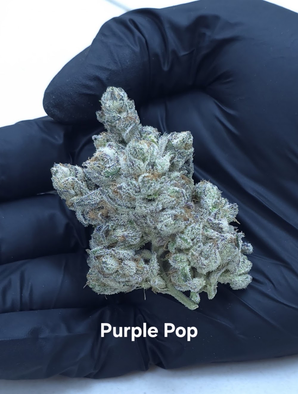 Fox Cannabis photo 4