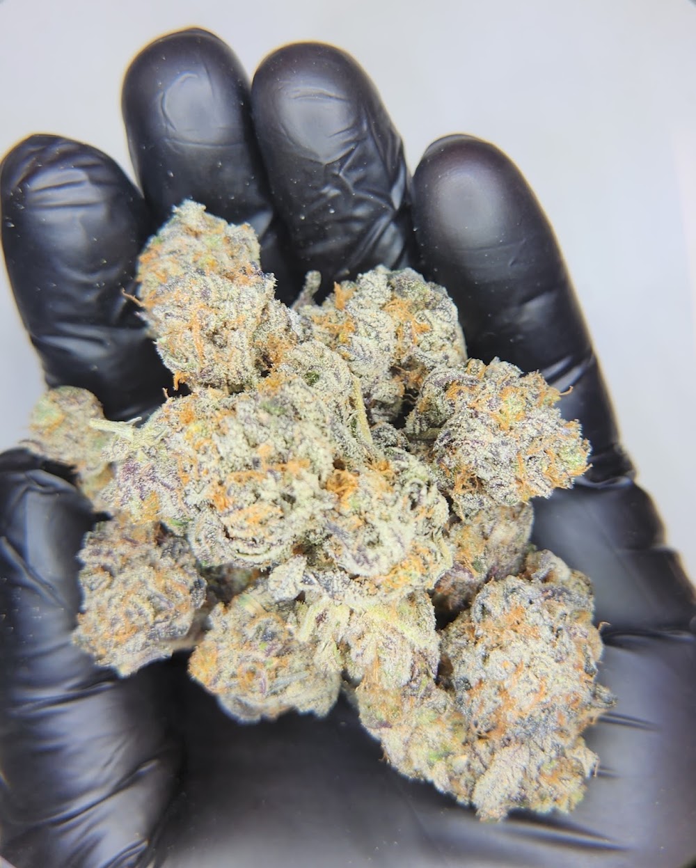 Freshbudz photo 3
