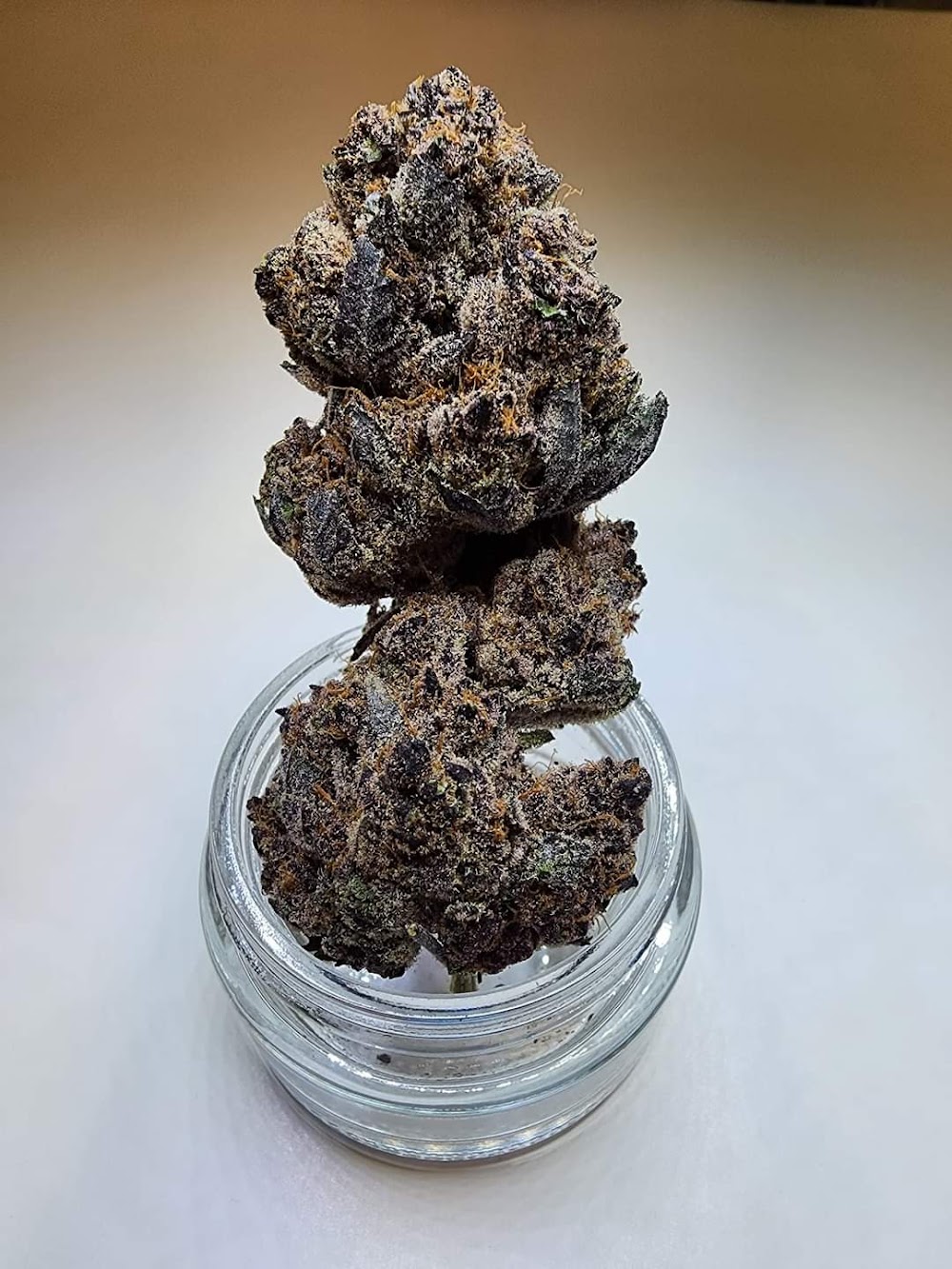 Freshbudz photo 7