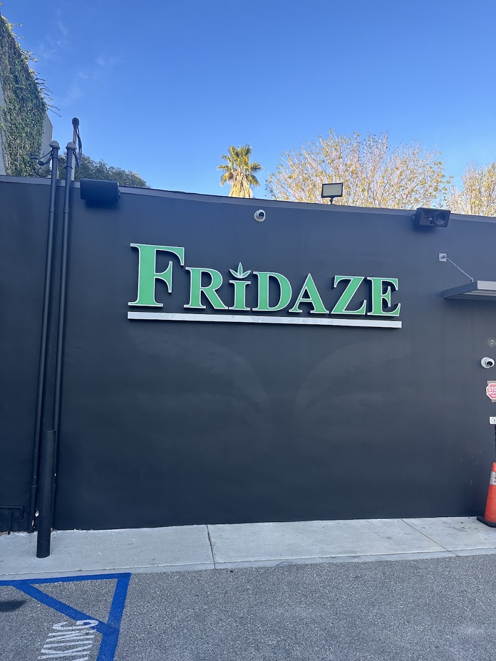 Fridaze photo 1