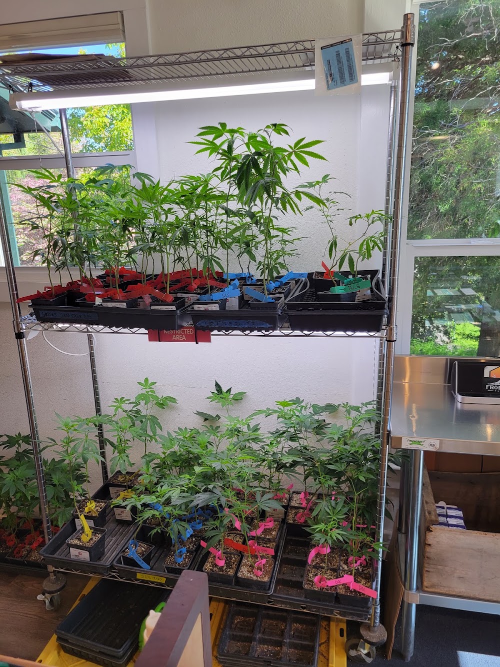 Frontier Farms - Hood River photo 8