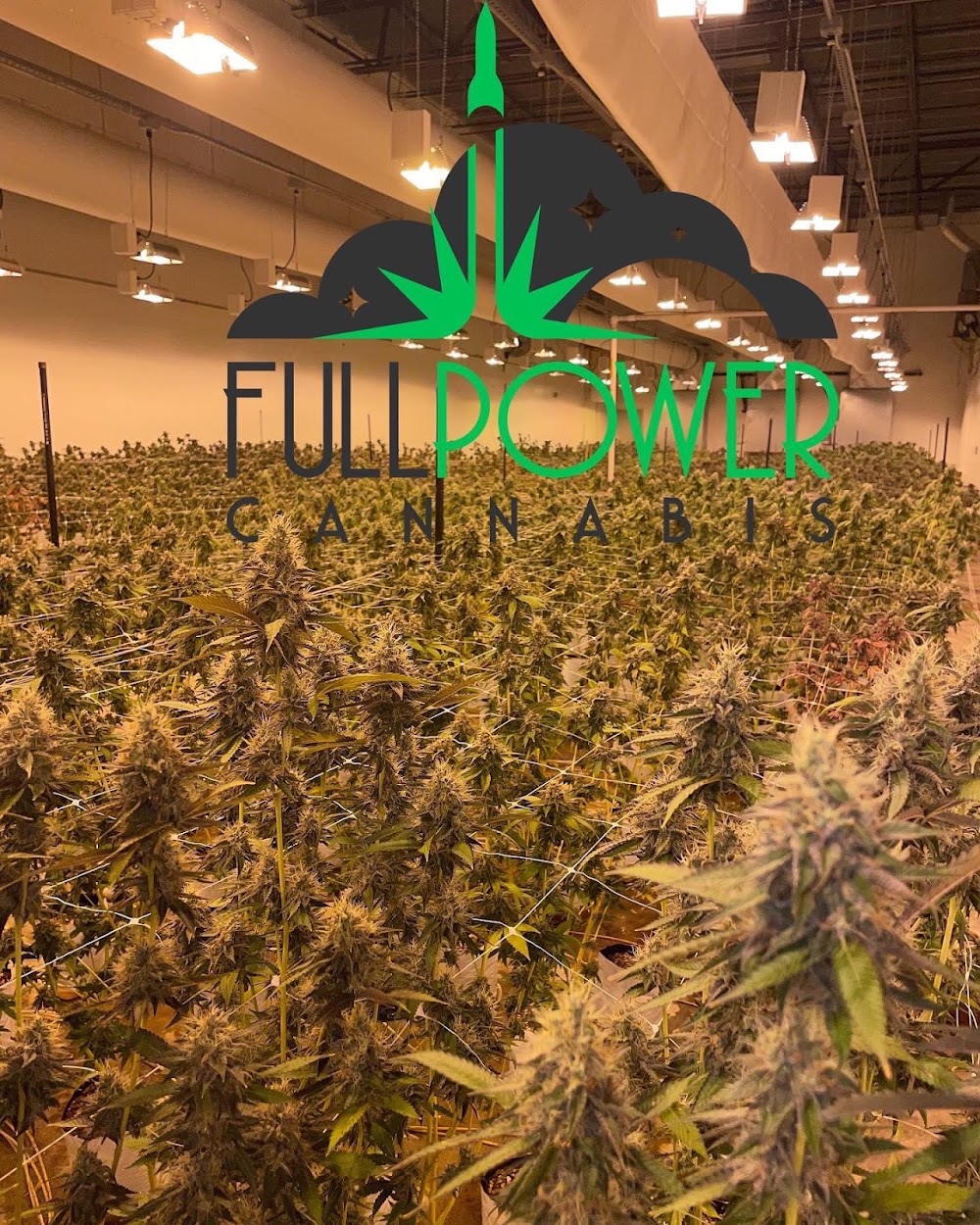 Full Power Cannabis - Taxes Not Included photo 5