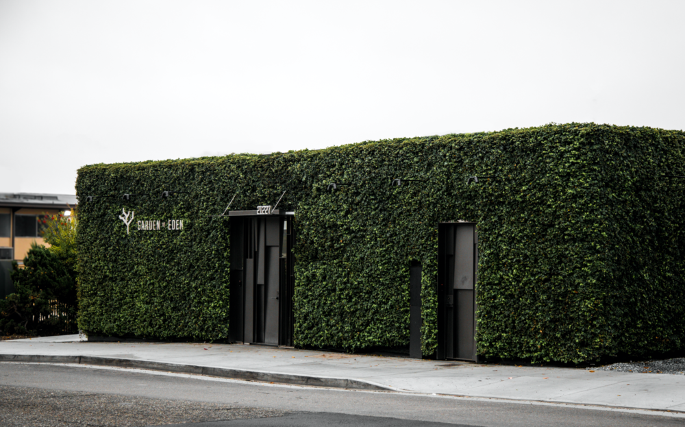 Garden Of Eden photo 1