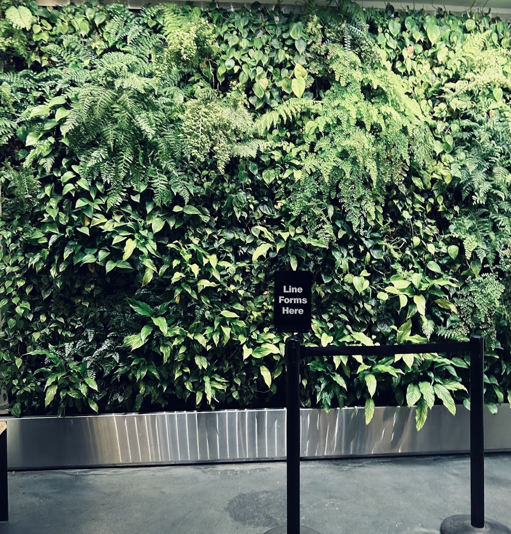 Garden Of Eden photo 8