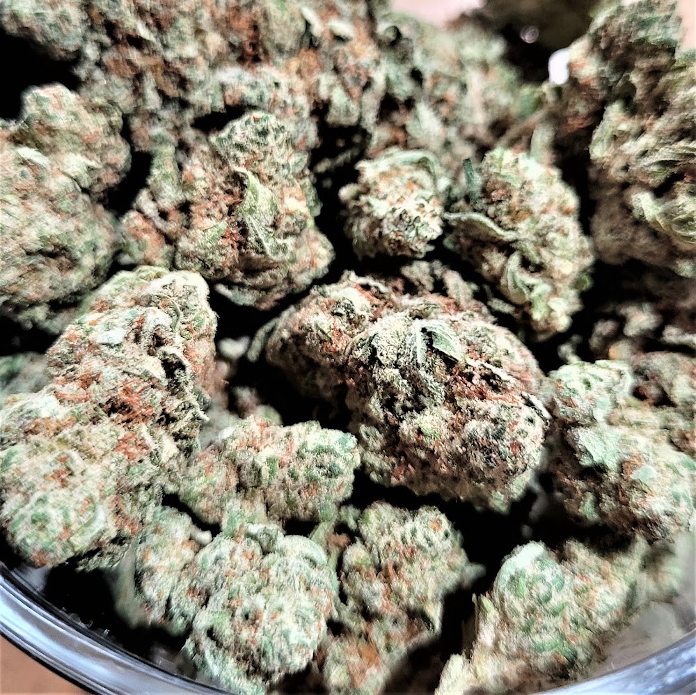 Garden Of The Budz photo 2