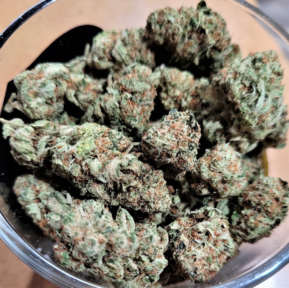 Garden Of The Budz photo 4