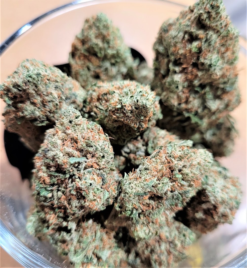 Garden Of The Budz photo 6