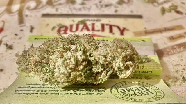 Garden Of The Budz photo 8