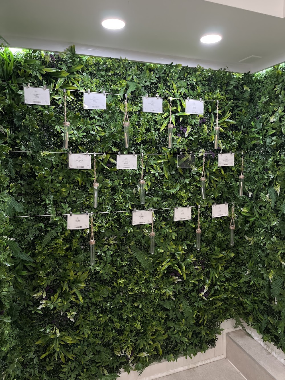 Georgetown Wellness Dispensary photo 4
