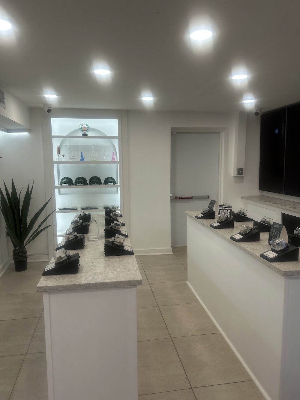 Georgetown Wellness Dispensary photo 5