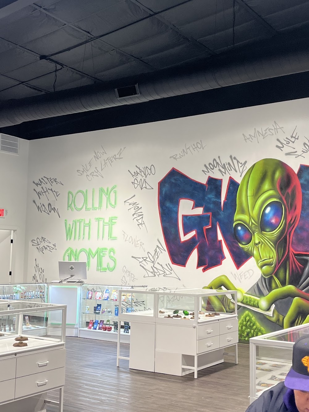 Gnomad - Roswell photo 4