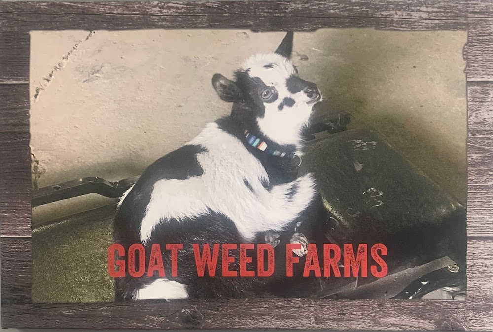 Goat Weed Farms photo 2