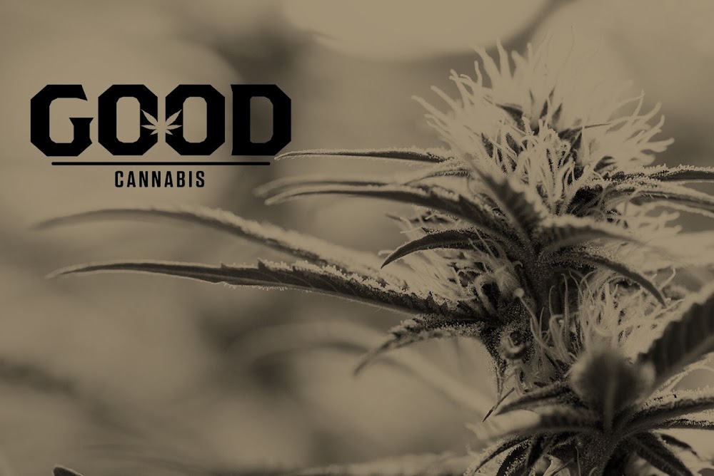Good Cannabis photo 2