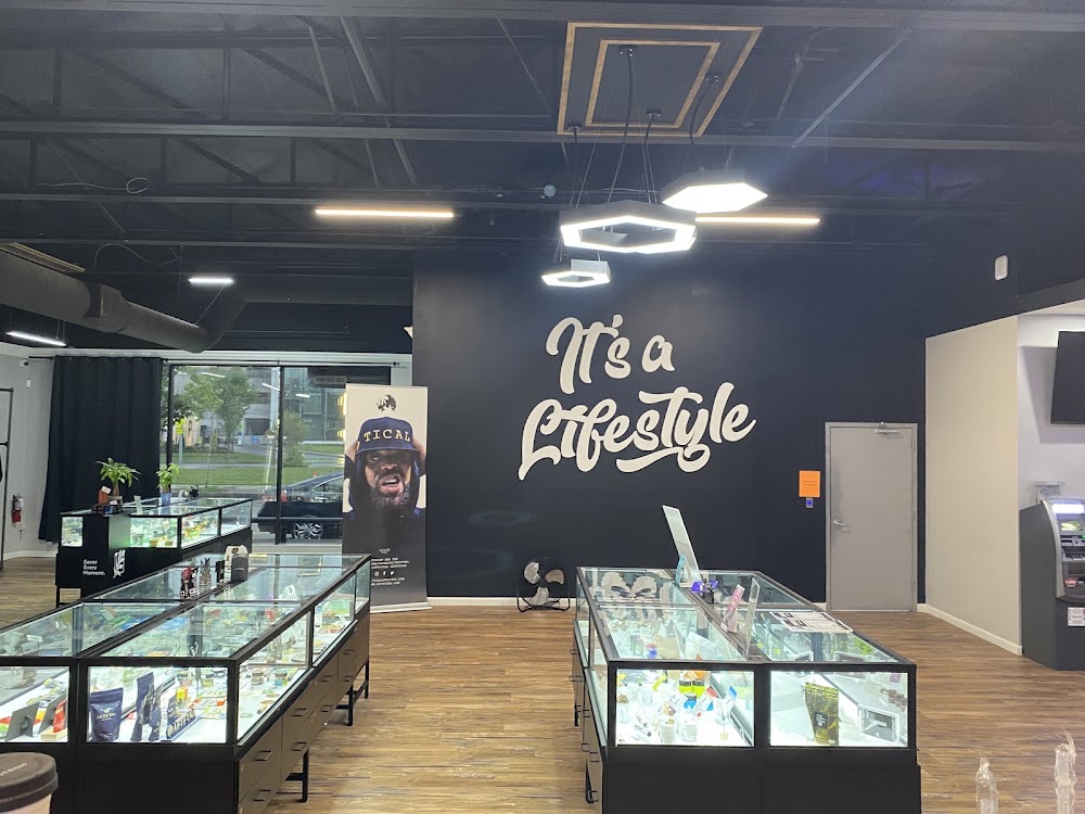 Good Life Collective photo 8