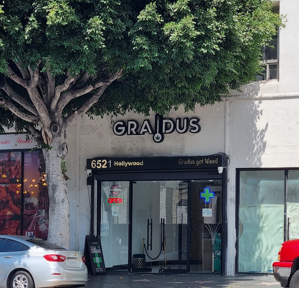 Gradus Hollywood photo 1