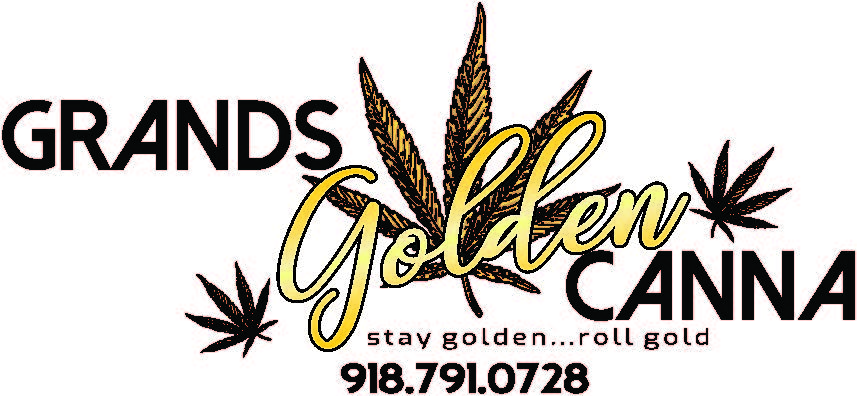 Grands Golden Canna photo 6