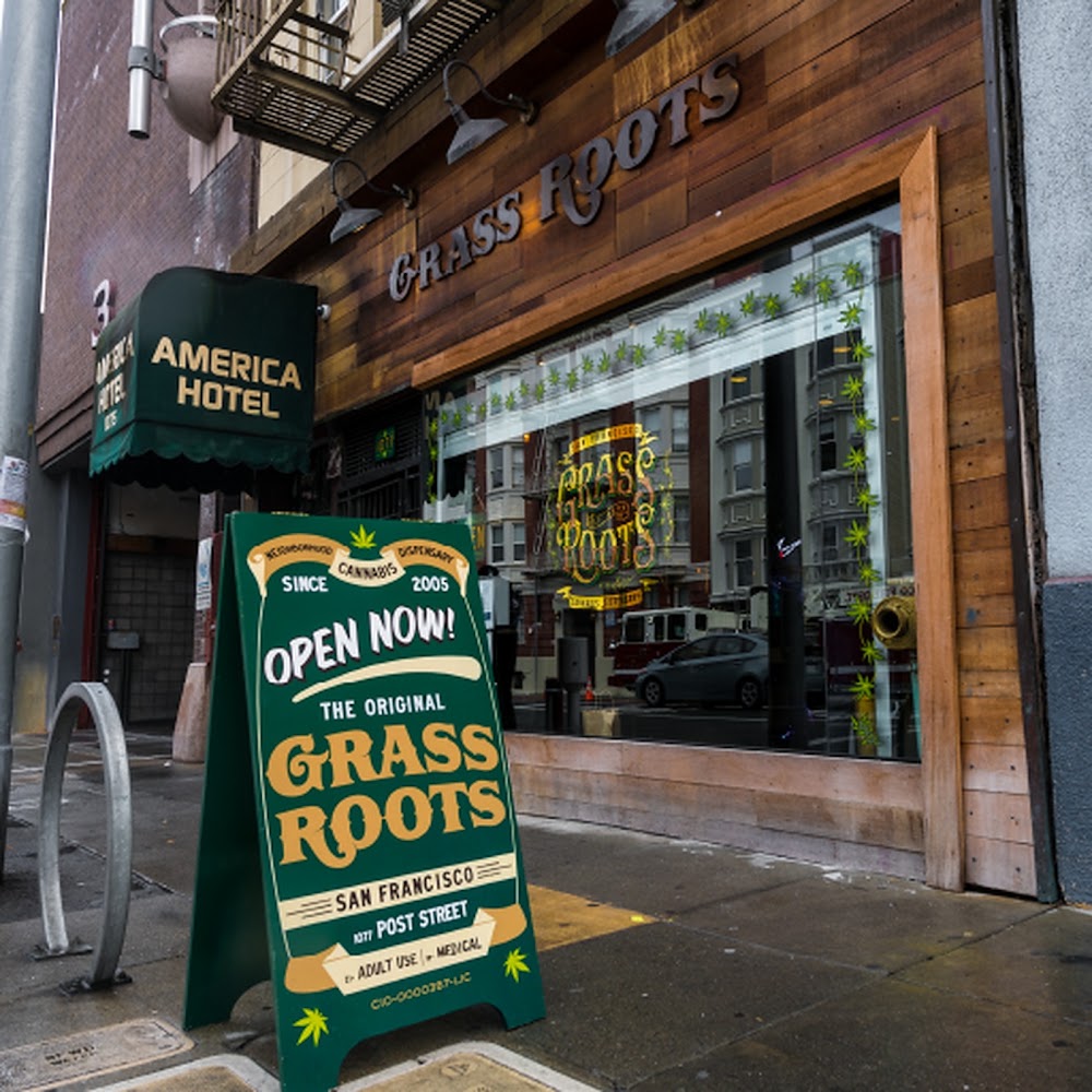 Grass Roots photo 1
