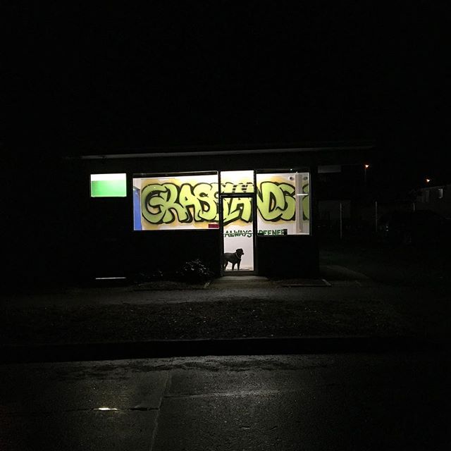 Grasslands Dispensary photo 4