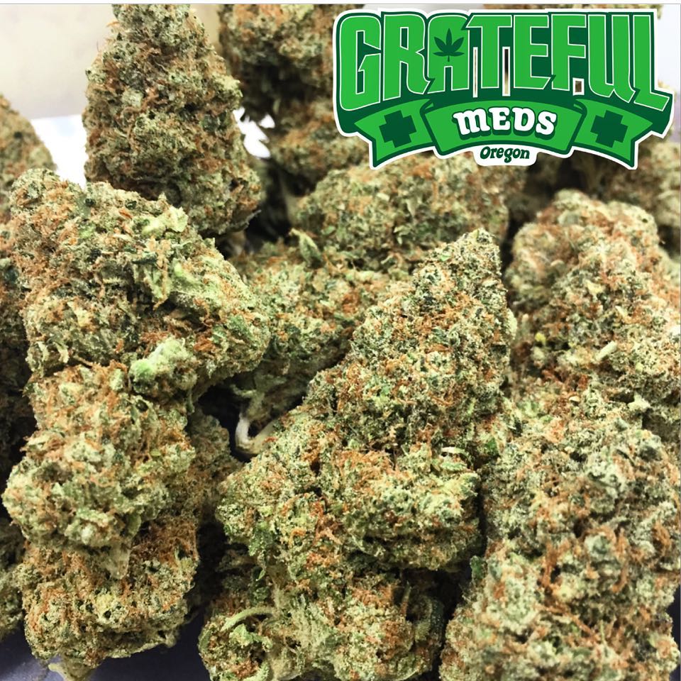 Grateful Meds photo 2