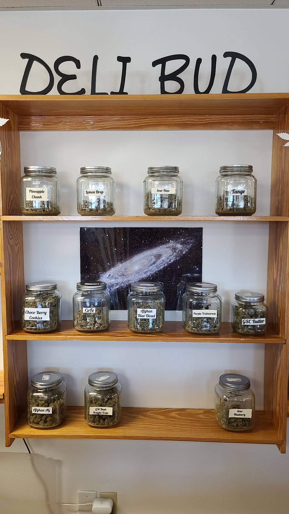 Great Alaskan Bud Company photo 6