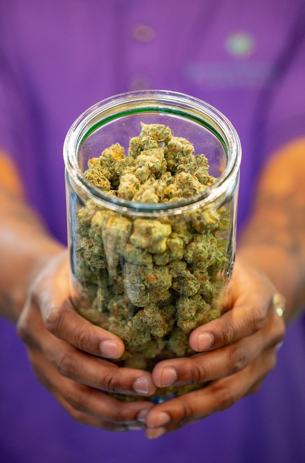Great Northern Cannabis photo 8