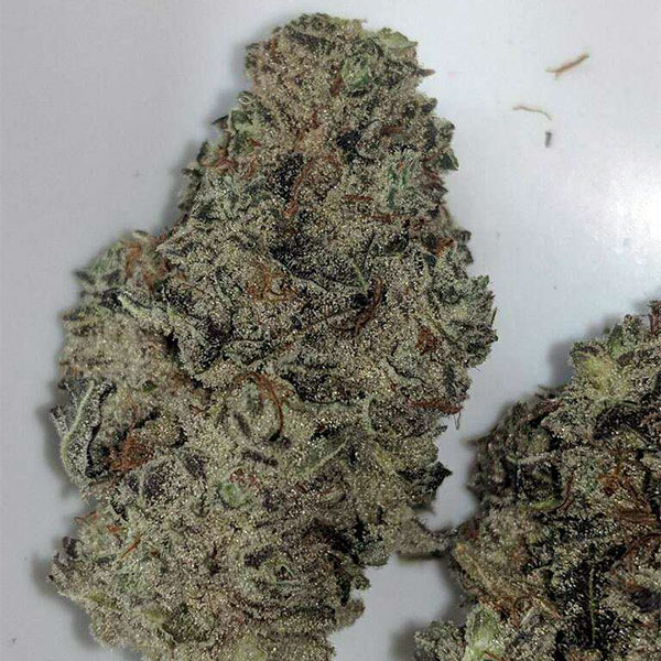 Green Aloha - Kapaa photo 7