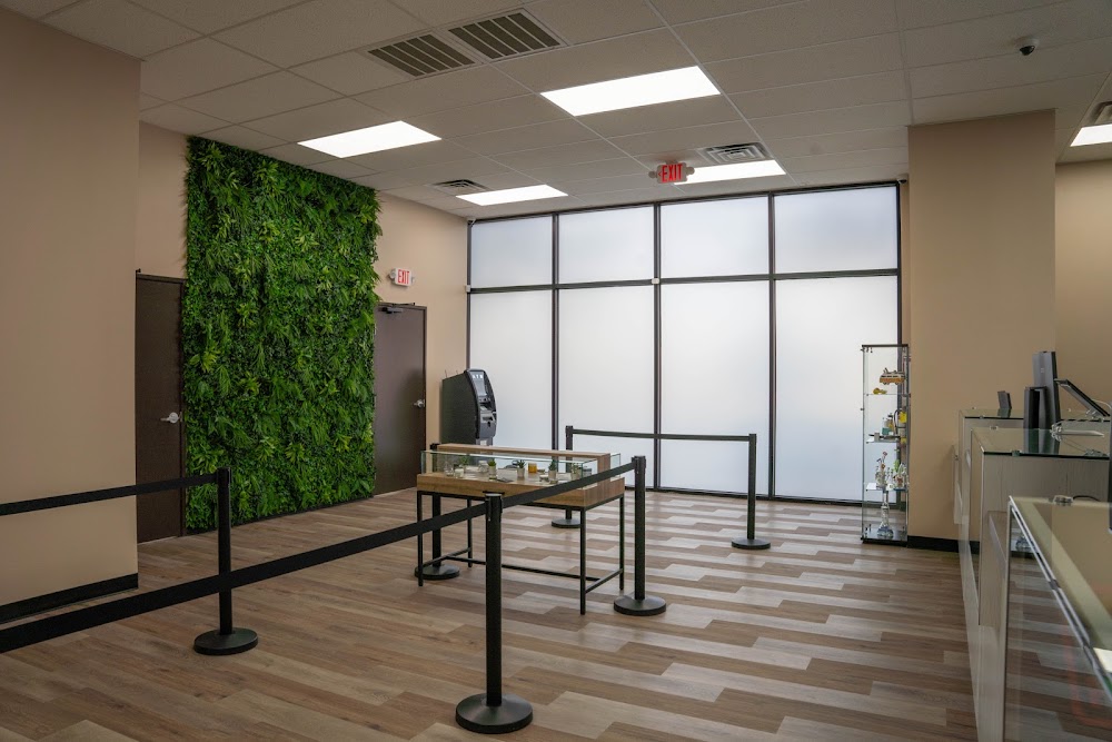 Green Cannabis CO. Dispensary Henderson photo 6