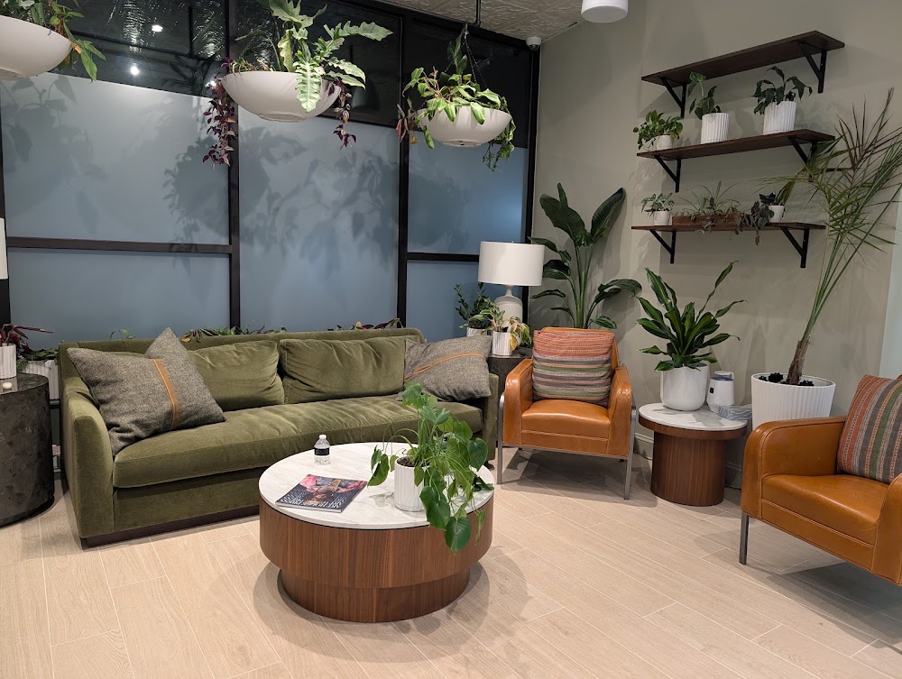Green Comfort photo 5