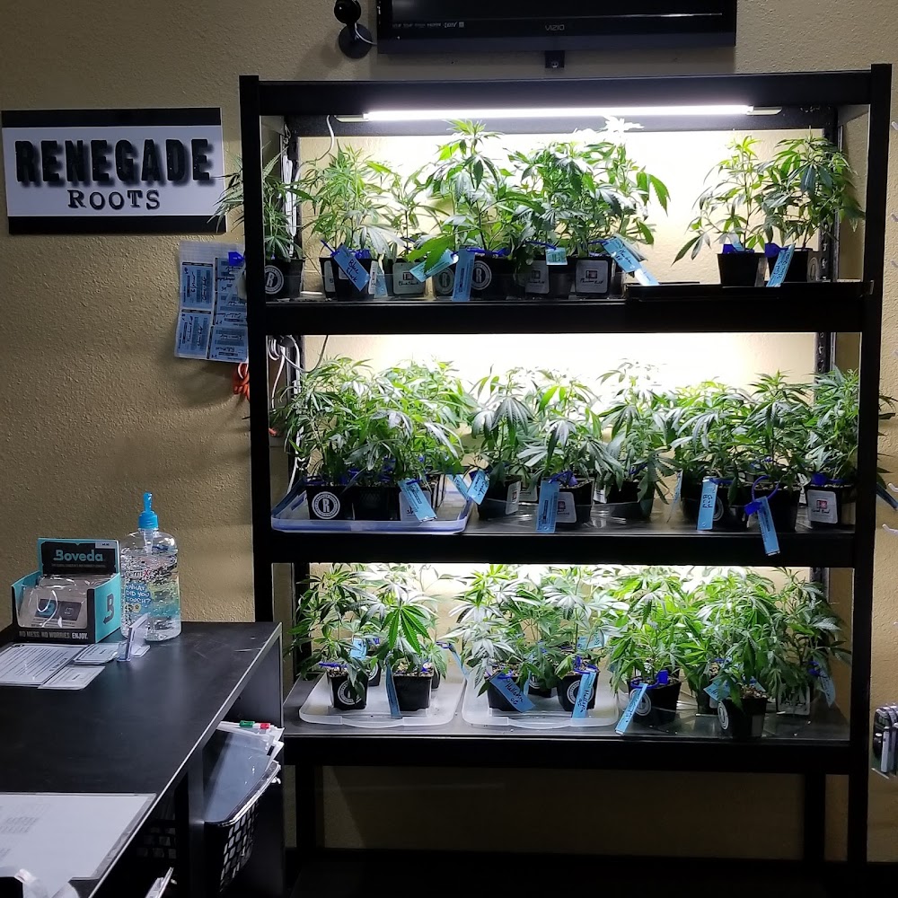 Green Cross Dispensary photo 4